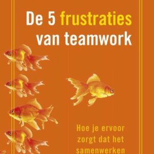 De 5 frustraties van teamwork